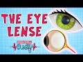 Understanding Eye Anatomy and Function