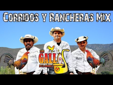 Los Gallos De La Sierra ⚡ Los Mejores Éxitos ~ Corridos y Rancheras Mix