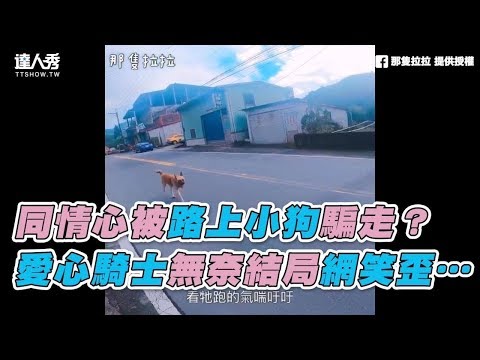 【同情心被路上小狗騙走？ 愛心騎士無奈結局網笑歪…】｜那隻拉拉