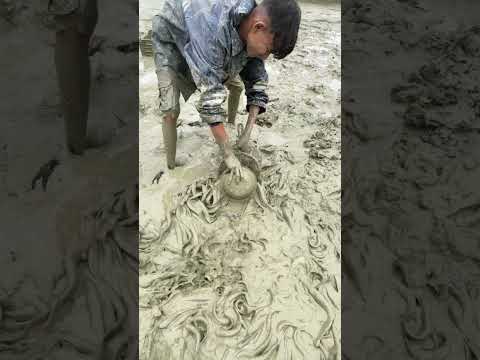 are you like this fish  #fishing #aquaculture #fish