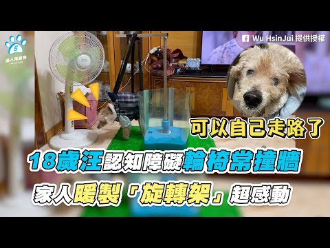 【18歲汪認知障礙輪椅常撞牆 家人暖製「旋轉架」超感動】｜網友 / Wu HsinJui