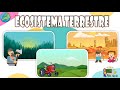 Ecosistemas y Adaptaciones de Plantas