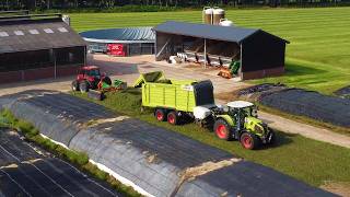 Poppink grass silage