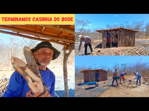 Terminamos a Casinha 🏡 dos Bodes 🐐 Vejam Só Como Ficou Agora já Está Pronta lugar pra os Bodes