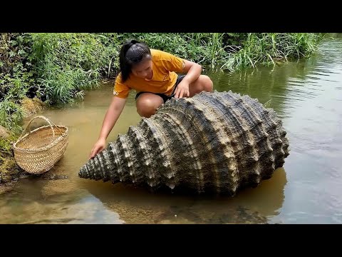 Harvest amazing deformed river clams with super large and beautiful pearls inside
