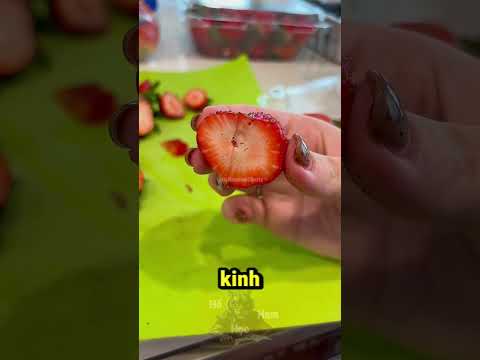 Thứ Kinh Dị Bên Trong Quả Dâu Tây Tươi 😱