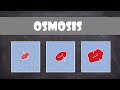 Osmosis and Cell Solutions