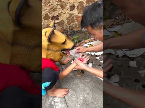 the poor dog and the mean #funny #shortvideo