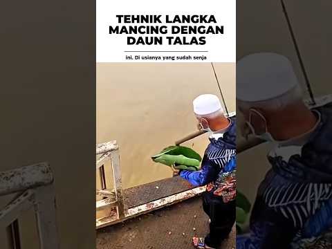TEHNIK LANGKA MANCING DENGAN DAUN TALAS