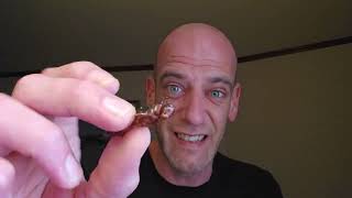 Can I Consume A Cricket Without Reacting? A  Challenge