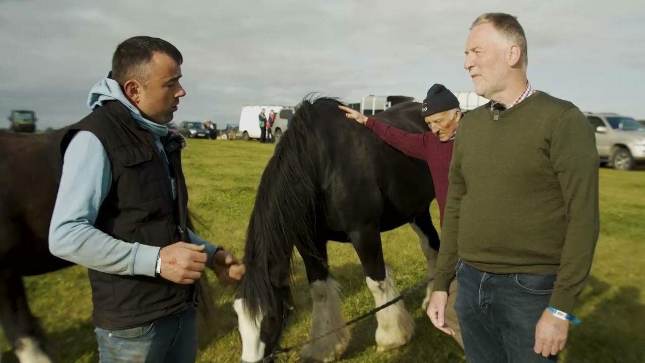 Ploughing 2022: Getting a feel for horse ploughing and what it means in Ireland