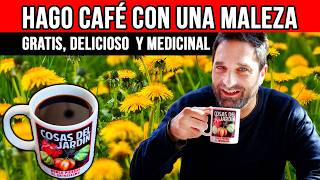 Cómo hacer CAFÉ de DIENTE de LEON: Gratis y Medicinal. Te muestro TODO - Paso a Paso