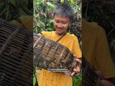 jenguk bubu #bobivlog #bubu #ikansidat