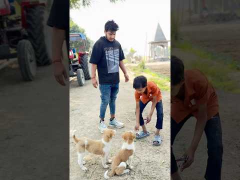 Kutte ki wafadari 🦮🙏 #shorts #viralvideo #emotional #dog #doglover