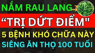 Bác Sĩ Mách Nắm Rau Lang"TRỊ DỨT ĐIỂM" 5 Bệnh KHÓ CHỮA NÀY, Sạch Gan Khoẻ Thận Không Tốn 1 Xu