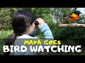 Bird-Watching Knowledge Assessment
