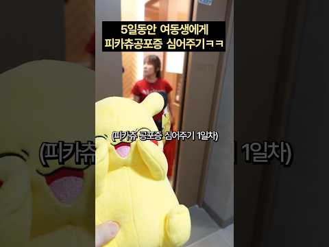 5일동안 피카츄 공포증 심어주기 ㅋㅋㅋㅋ