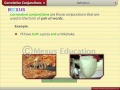 Identifying Correlative Conjunctions in Sentences