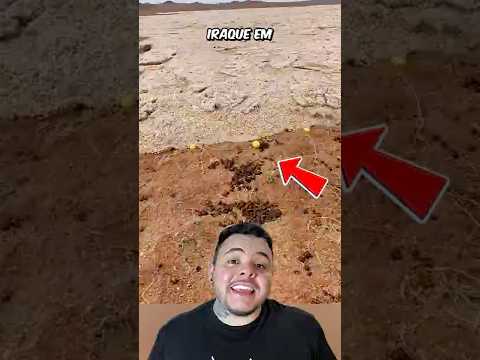 AREIA LÍQUIDA NO DESERTO!