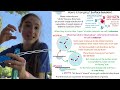 Bubble Formation and Properties