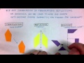 Exploring Transformations and Congruence in Geometry