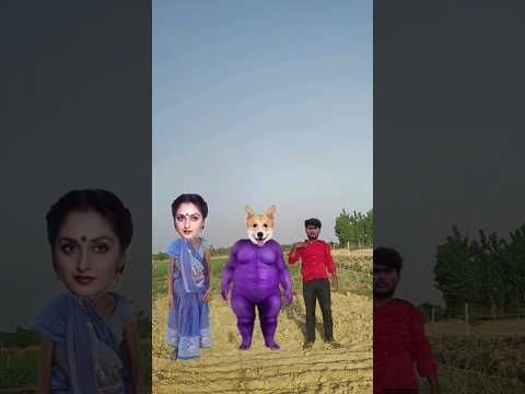 Kamariya Dole song vs old Dida,, Fat dog & me corect funny head matching video