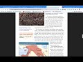 Assyrian Empire: Key Concepts and Events