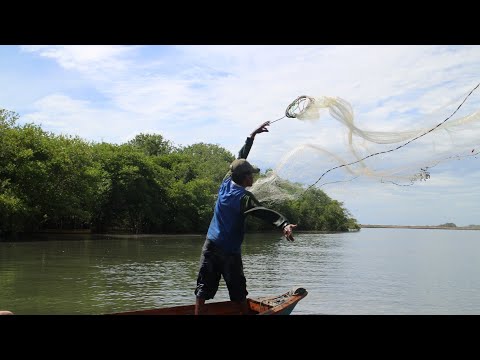 le lanzo piedras al río y no vas a creer que pesco 😱😱