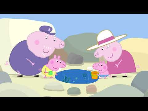 Papá capitán | Peppa Pig en Español Episodios Completos