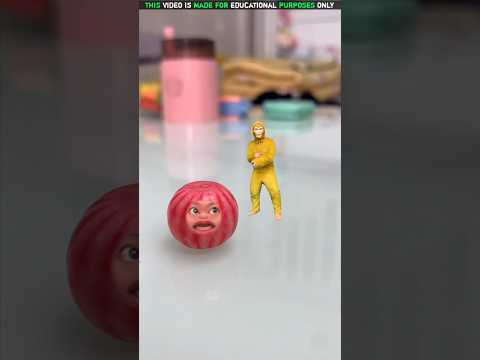 Monkey And Apple Battle🐒🍎| New Viral Gadgets, Smart Appliances, Kitchen Utensils/ Home Inventions