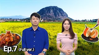 2024-09-05 [생방송 제주엔] 전체방송 다시보기 다시보기