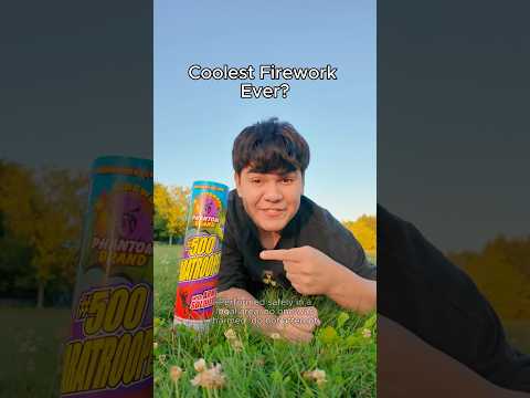 I Found the Coolest Firework Ever?