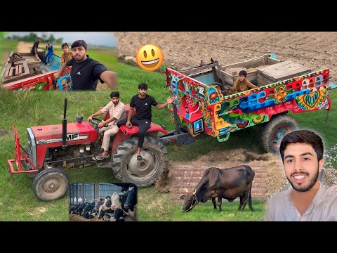 Cows Magic Zoo Mein Aa Gayi 😍 Solar Panel Be Jaldi Laag Jaye Ga ⚡️Zohaib Pendu | Zohaib Sabir