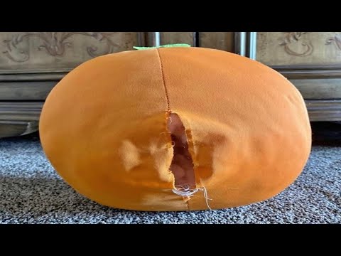 YOU LAUGH YOU GET TORN