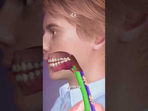 Как мы глотаем