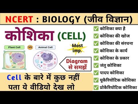 कोशिका : Cell | cell structure | कोशिका की संरचना और कार्य | Biology | Study vines official