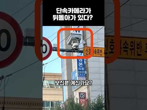 오토바이까지 단속가능한 후면단속카메라