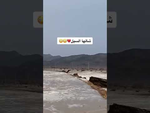ناقة شالها السيل