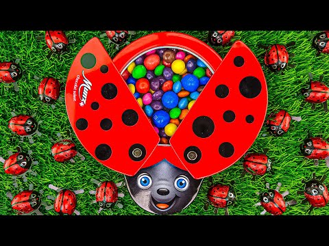 Most Satisfying Video | Fruit Skittles & Glitter M&M's in LadyBug Full of Rainbow Candy ASMR #950