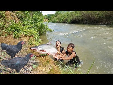 Wow! 10Kg big fish cooking, Spicy fish roast for dinner, Chicken soup Hot chili tasty, Top survival