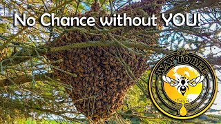 Swarm in July Let Them Fly, or NOT, they have no chance without YOU