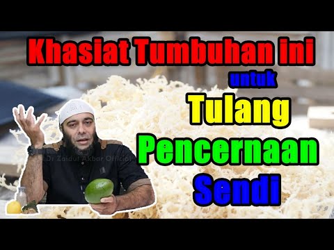 dr. Zaidul Akbar - Khasiat Tumbuhan ini untuk Tulang, Sendi, Pencernaan