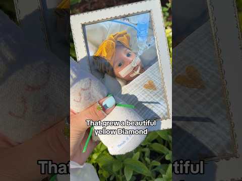 Growing a yellow diamond combined hair and ashes
