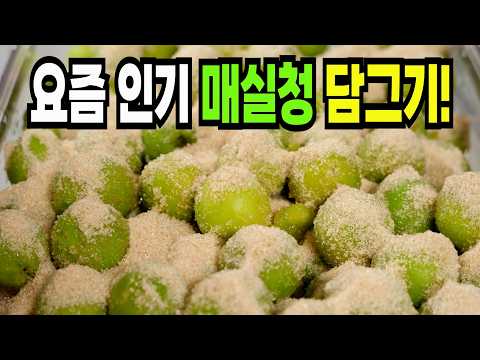 매실청 힘들게 하지마세요✔️ 이 방법은 쉽고 맛있는 매실청 담그기 1등 레시피입니다