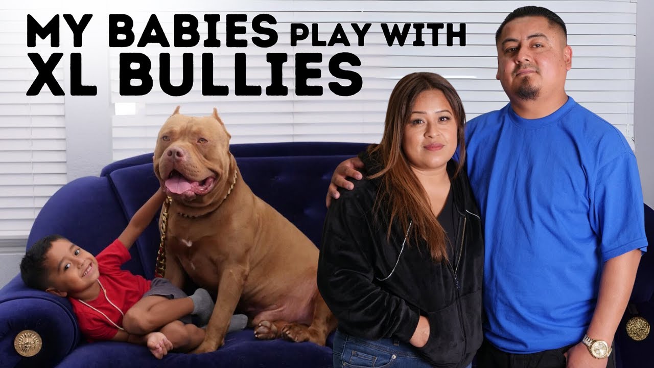 Why Can't Our Kids Live With XL Bullies? My extraordinary family