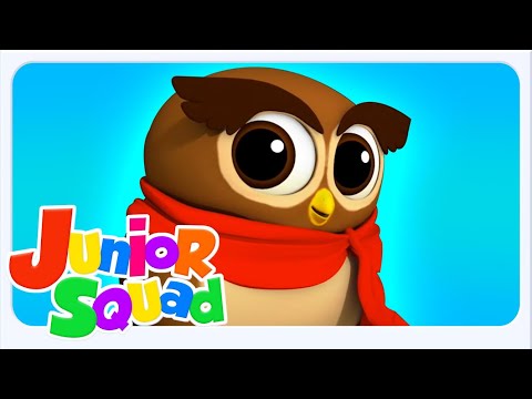 A Wise Old Owl, Cartoon Video and Preschool Nursery Rhyme for Kids