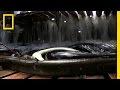 Eel Harvesting Experiences and Challenges