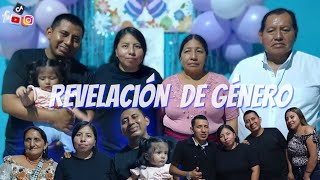 LA REVELACIÓN DE SEXO DEL BEBÉ 