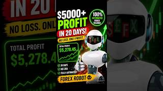 FOREX HEDGING ROBOT