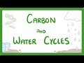 Exploring the Carbon and Water Cycles for GCSE Biology
